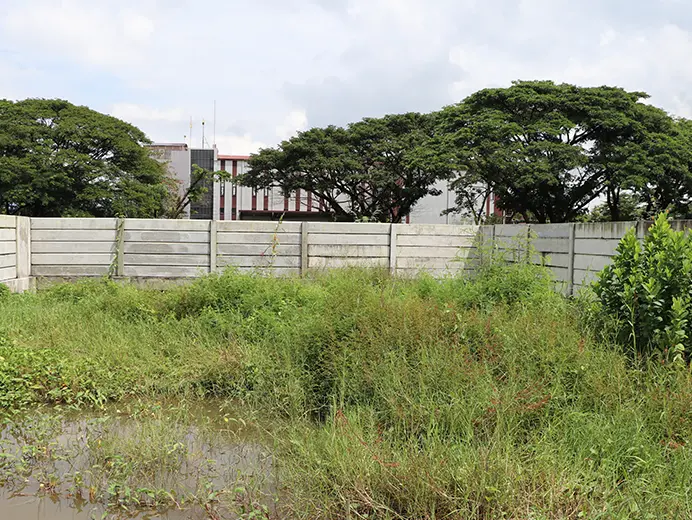 Plot 19 (Pin Lone Project)