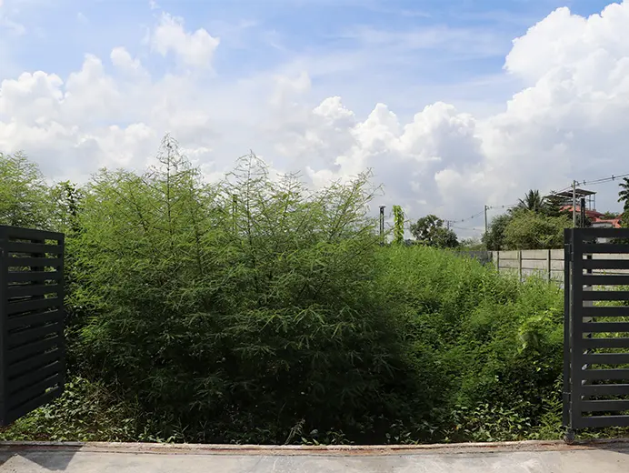 Plot 25 (Pin Lone Project)